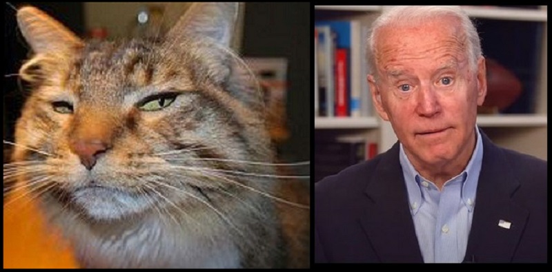 NextImg:A Drug Addict and His Former Babysitter Are Officially Joe Biden Gatekeepers - The Last Refuge