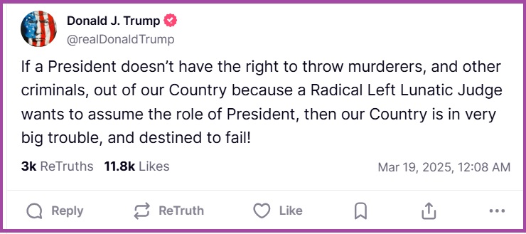 theconservativetreehouse.com