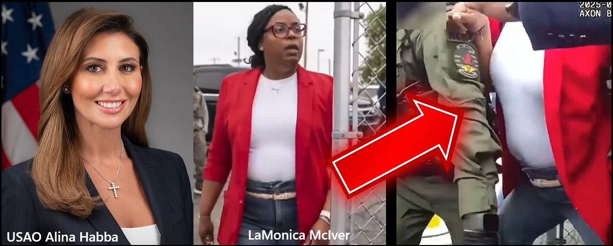 NextImg:New Jersey Grand Jury Indicts Democrat Representative LaMonica McIver for Interfering with Federal Immigration Enforcement - The Last Refuge
