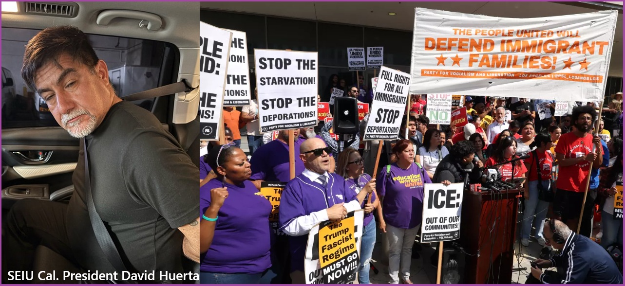NextImg:The Purple Orcs of SEIU are Back on the March Using ICE and Deportation as Their Latest Strategy - The Last Refuge