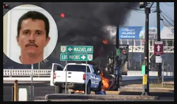 theconservativetreehouse.com