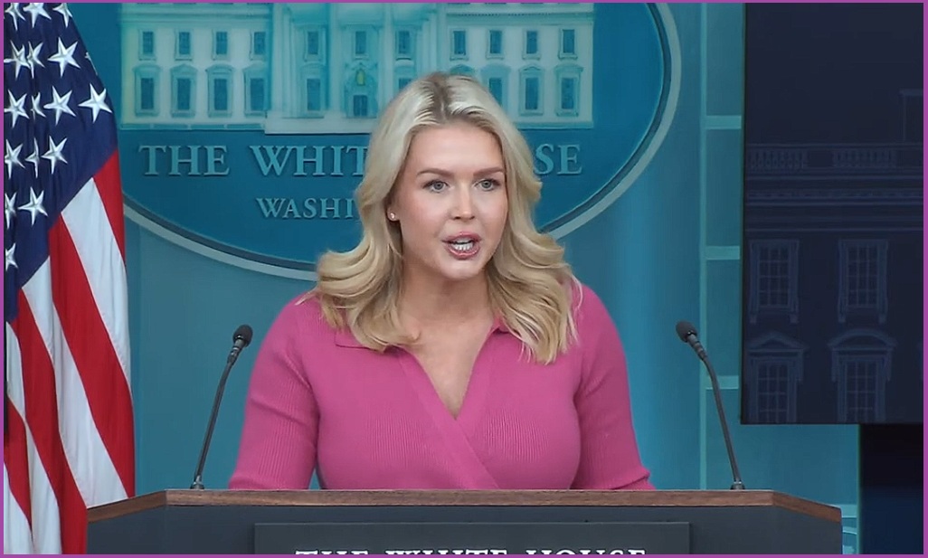 Press Secretary Karoline Leavitt Outlines Dramatic Decrease in Violent Crime During Briefing
